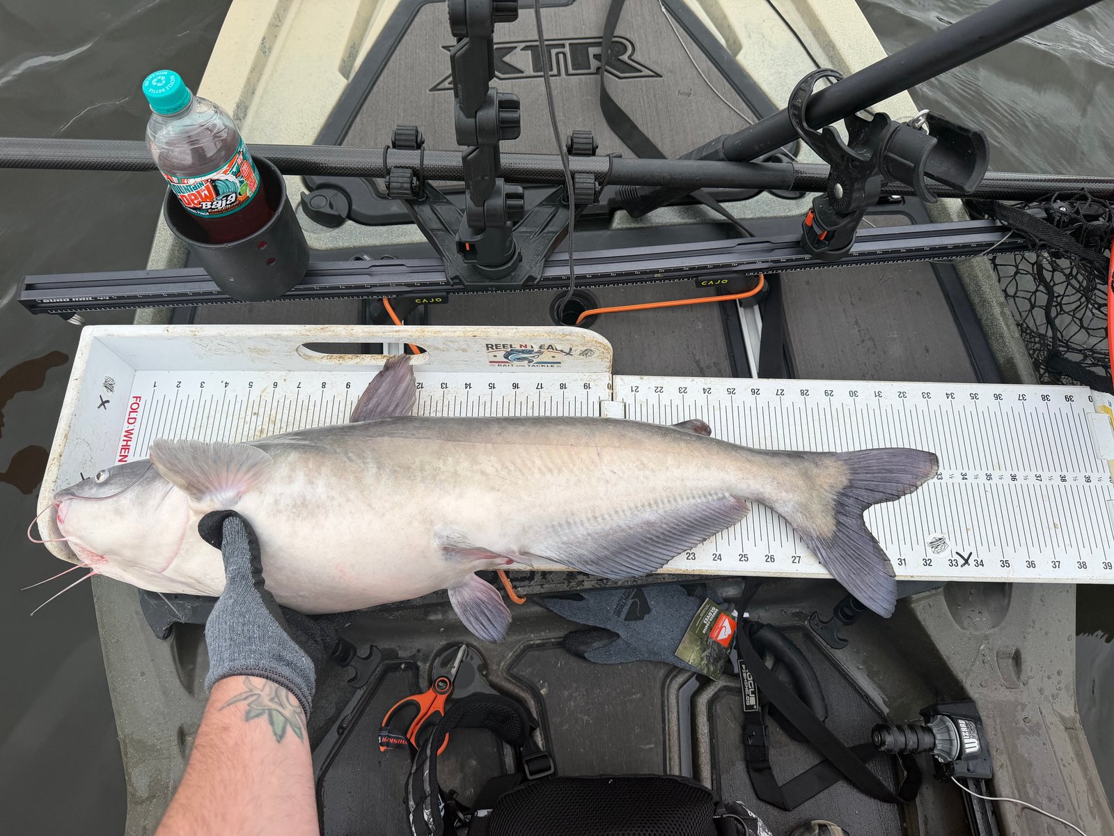Holding a blue catfish caught on Hoover Reservoir, measured on a kayak