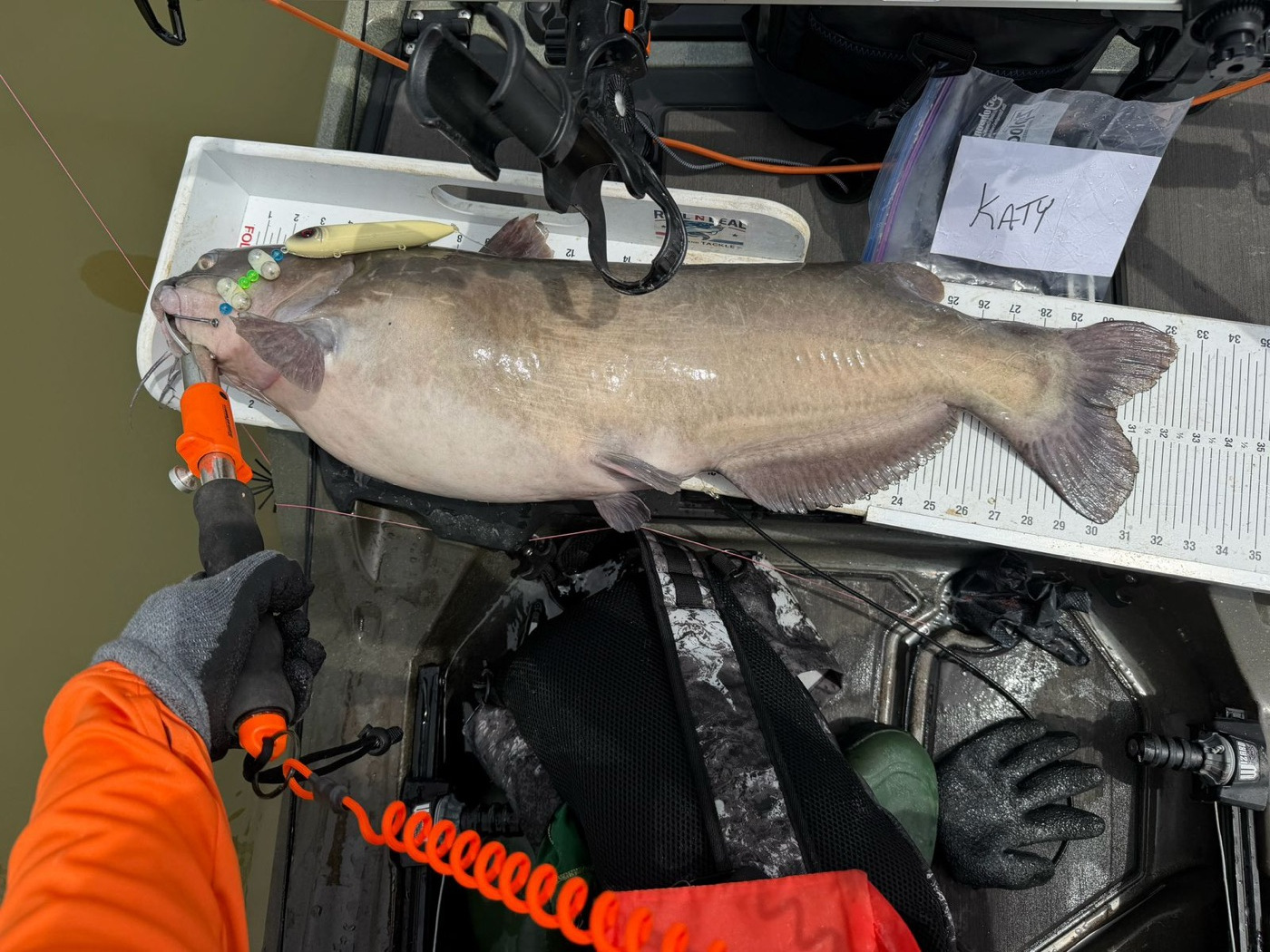 Personal best channel catfish